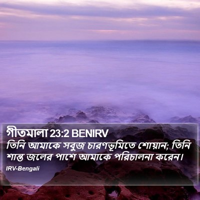 তিনি আমাকে সবুজ চারণভূমিতে শোয়ান; তিনি শান্ত জলের পাশে আমাকে পরিচালনা করেন। গীতমালা 23:2 (BENIRV)