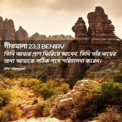তিনি আমার প্রাণ ফিরিয়ে আনেন, তিনি তাঁর নামের জন্য আমাকে সঠিক পথে পরিচালনা করেন। গীতমালা 23:3 (BENIRV)