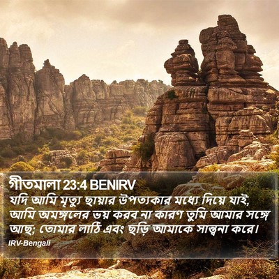 যদি আমি মৃত্যু ছায়ার উপত্যকার মধ্যে দিয়ে যাই, আমি অমঙ্গলের ভয় করব না কারণ তুমি আমার সঙ্গে আছ; তোমার লাঠি এবং ছড়ি আমাকে সান্ত্বনা করে। গীতমালা (Psalms) 23:4