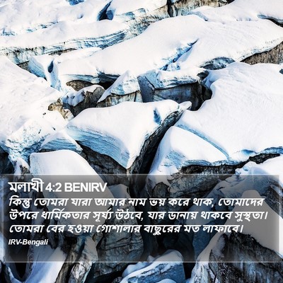 কিন্তু তোমরা যারা আমার নাম ভয় করে থাক, তোমাদের উপরে ধার্মিকতার সূর্য্য উঠবে, যার ডানায় থাকবে সুস্থতা। তোমরা বের হওয়া গোশালার বাছুরের মত লাফাবে। মালাখি (Malachi) 4:2