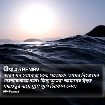 কারণ সব লোকেরা চলে, প্রত্যেকে, তাদের নিজেদের দেবতার নামে চলে। কিন্তু আমরা আমাদের ঈশ্বর সদাপ্রভুর নামে যুগে যুগে চিরকাল চলব। মীখা (Micah) 4:5