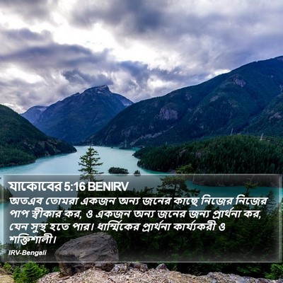 অতএব তোমরা একজন অন্য জনের কাছে নিজের নিজের পাপ স্বীকার কর, ও একজন অন্য জনের জন্য প্রার্থনা কর, যেন সুস্থ হতে পার। ধার্ম্মিকের প্রার্থনা কার্য্যকরী ও শক্তিশালী। জেমস (James) 5:16