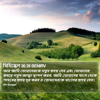 আর আমি তোমাদেরকে নতুন হৃদয় দেব এবং তোমাদের হৃদয়ে নতুন আত্মা স্থাপন করব; আমি তোমাদের মাংস থেকে পাথরের হৃদয় দূর করব ও তোমাদেরকে মাংসের হৃদয় দেব।  এজেকিয়েল (Ezekiel) 36:26
