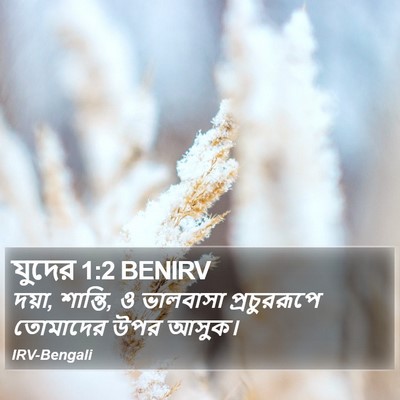 দয়া, শান্তি, ও ভালবাসা প্রচুররূপে তোমাদের উপর আসুক। জুড (Jude) 1:2