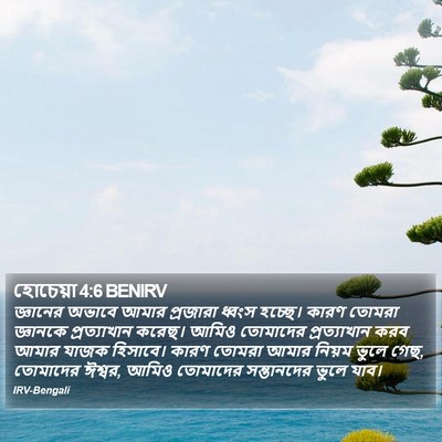 জ্ঞানের অভাবে আমার প্রজারা ধ্বংস হচ্ছে। কারণ তোমরা জ্ঞানকে প্রত্যাখান করেছ। আমিও তোমাদের প্রত্যাখান করব আমার যাজক হিসাবে। কারণ তোমরা আমার নিয়ম ভুলে গেছ, তোমাদের ঈশ্বর, আমিও তোমাদের সন্তানদের ভুলে যাব। হোসেয়া (Hosea) 4:6