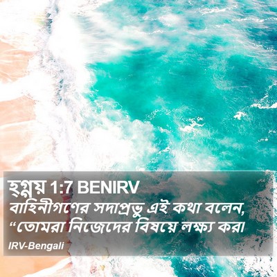 বাহিনীগণের সদাপ্রভু এই কথা বলেন, “তোমরা নিজেদের বিষয়ে লক্ষ্য কর৷ হ্যাগাই (Haggai) 1:7