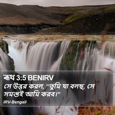 সে উত্তর করল, “তুমি যা বলছ, সে সমস্তই আমি করব।” রুথ (Ruth) 3:5